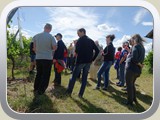 Weingut Möslein