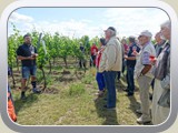 Weingut Möslein