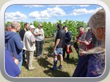 Weingut Möslein