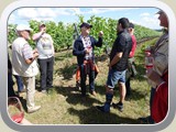 Weingut Möslein