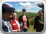 Weingut Möslein